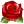 Rose.png